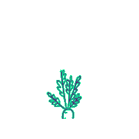 VeggieCrumbz food healthy natural gardening Sticker