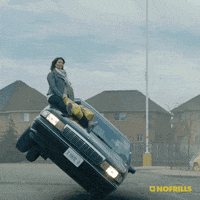car riding dirty GIF by No Frills