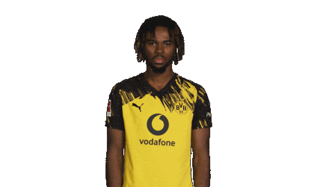 Borussia Dortmund Chukwuemeka Sticker by Bundesliga