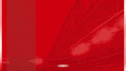 Football No GIF by AZ Alkmaar