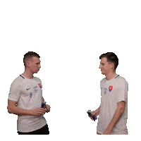 Malyfutbal Sticker by Slovenský zväz malého futbalu
