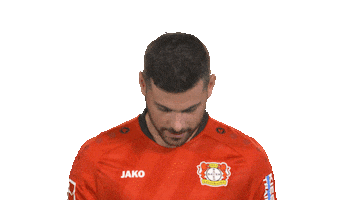 Bayer 04 Hello Sticker by Bundesliga