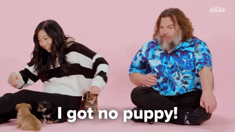 Jack Black Puppies GIF by BuzzFeed