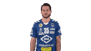 Handball-Bundesliga Sport Sticker by LIQUI MOLY HBL