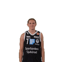 Dallas Mavericks Basketball Sticker by Borås Basket