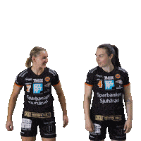 Basketball Anna Sticker by Borås Basket