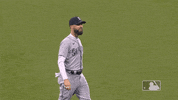 Celebrate Major League Baseball GIF by MLB