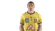 Handball-Bundesliga Sport Sticker by LIQUI MOLY HBL