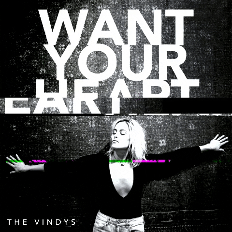 TheVindys giphygifmaker youngstown the vindys vindys GIF