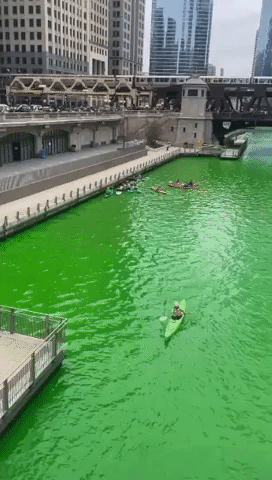 Kayakers Paddle on Green Chicago River 