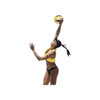 paulapequenovolleyball volleyball volei paula pequeno paula pequeno volleyball Sticker
