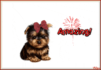 Dogs Puppy GIF