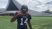 Montreal Alouettes No GIF by Alouettes de Montréal