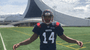 Montreal Alouettes Football GIF by Alouettes de Montréal