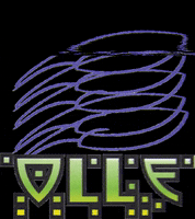 eaglepatches patches GIF