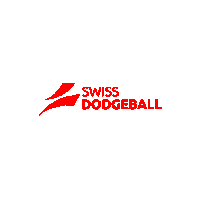 swissdodgeball 360 swissdodgeball Sticker