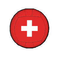 swissdodgeball swiss dodgeball swissdodgeball clothdodgeball Sticker