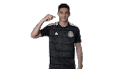 football mexico Sticker by MiSelecciónMX