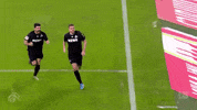 sliding milos jojic GIF by 1. FC Köln
