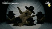 틴더스 GIF