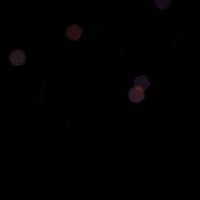 StreamCoin crypto morning positive cryptocurrency GIF
