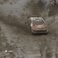 Resisting Monster Truck GIF by FIA World Rally Championship