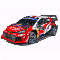 Ford Racing GIF by FIA World Rally Championship