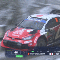 Snow Driving GIF by FIA World Rally Championship
