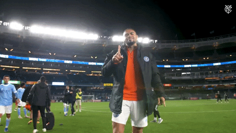 Happy Major League Soccer GIF by NYCFC