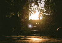 Golden Light Sunset GIF by subtlestrokes