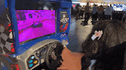 Driving Arcade Games GIF