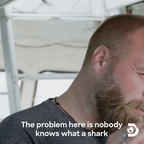 What does a cocaine shark look like?