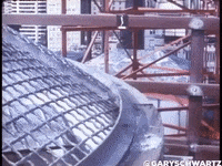GIF by Alex Boya
