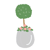 Flores Planta Sticker by elceibovivero