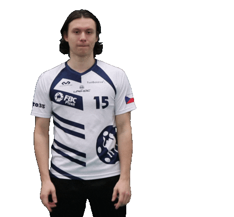 fbcplzen giphyupload florbal plzen fbcplzen Sticker