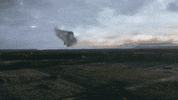 Nina Bode GIF by NETFLIX