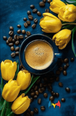 Amigos Buenos Dias GIF by Murcianys LLC