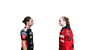 Fbriders Sticker by Floorball Riders