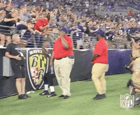 Celebrate Baltimore Ravens GIF by NFL