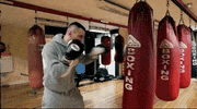 The Ultimate Fighter Sport GIF by UFC