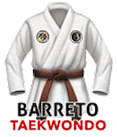 Marrom Sticker by Barreto Taekwondo