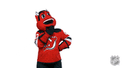 New Jersey Devils Sport GIF by NHL
