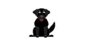 dog mozart Sticker by Eastern Kentucky University
