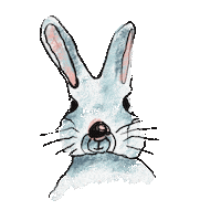 jowilanimation wink bunni jowilsondesign bunniwink Sticker