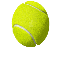 padelindoorbidasoa padel pelota pala pib Sticker