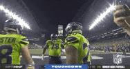 Regular Season Football GIF by NFL