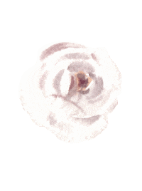 stfrock pink flower flowers rose Sticker