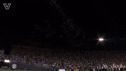 Sport Celebrate GIF by Vanderbilt Athletics