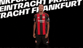 Bundesliga Sge GIF by Eintracht Frankfurt