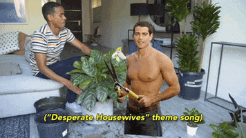 tyleroakley flower youtube house plant GIF